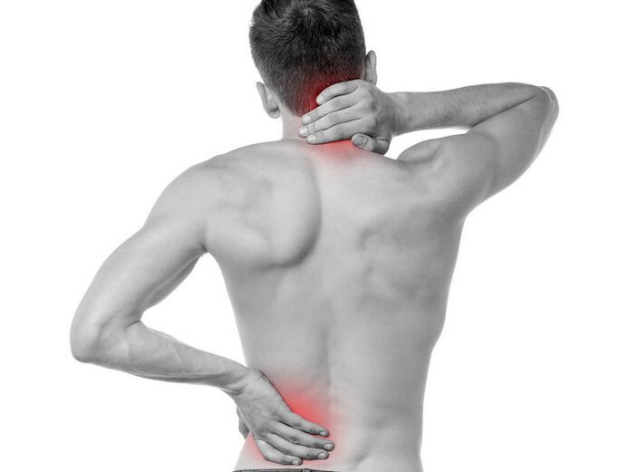 Las propiedades del gel para el dolor articular y de espalda Frekosteel